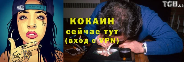 мдпв Новозыбков