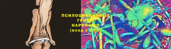 прущие крисы Новодвинск