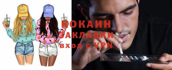 молекула духа Болхов