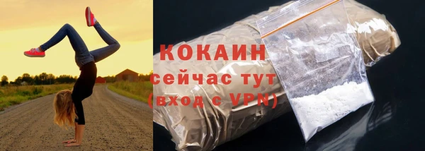 PSILOCYBIN Болотное