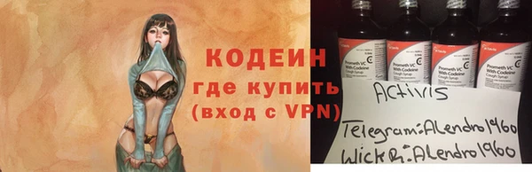 мдпв Новозыбков