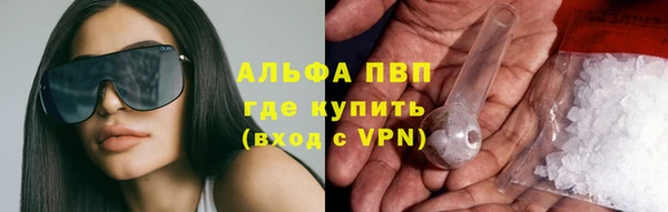 мдпв Новозыбков
