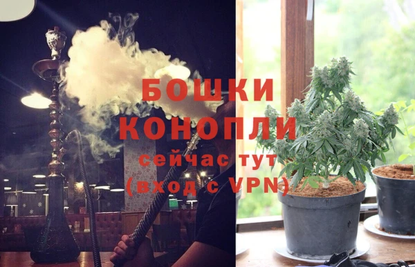 мдпв Новозыбков