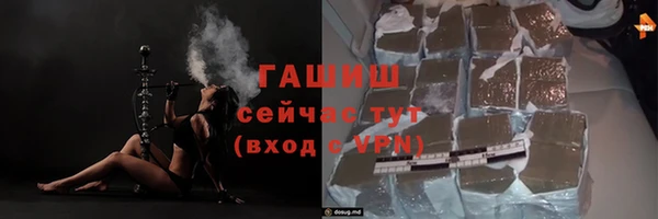 мдпв Новозыбков