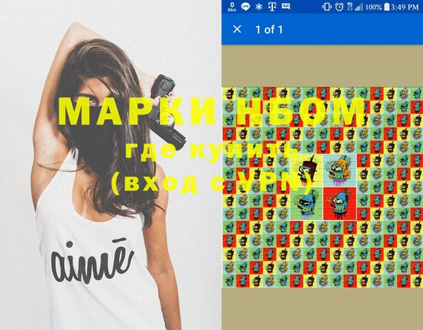 мдпв Новозыбков
