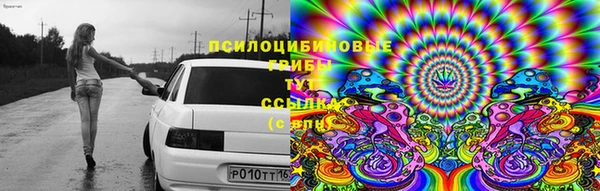 прущие крисы Новодвинск