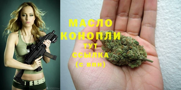 мдпв Новозыбков