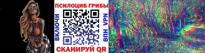 Галлюциногенные грибы Cubensis  Сорск 